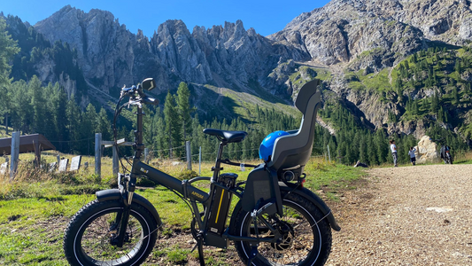 Vakantie met de e-bikes in de Alpen