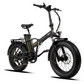 APRUM MAGIS PLUS | Accu LG 48V 20A 960Wh | 250W 25Km/h | Actieradius tot 120 km