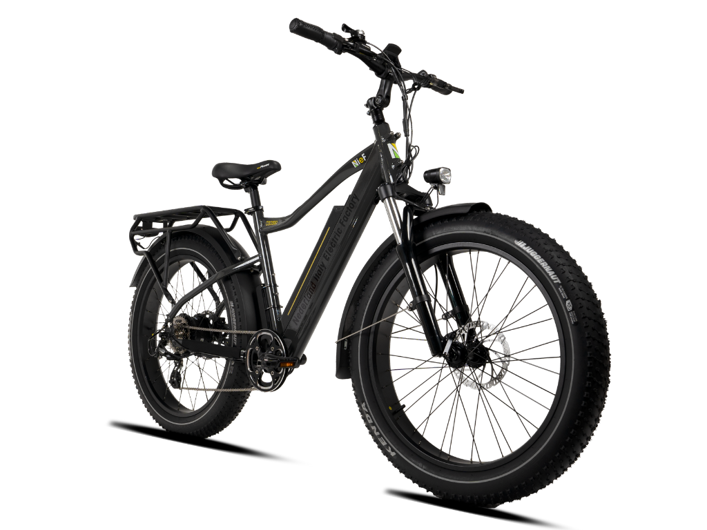 COLOSSEO MAGIS | Accu LG 48V 21A 1008Wh | 250W 25Km/h | Actieradius tot 130 km