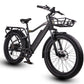 COLOSSEO MAGIS | Accu LG 48V 21A 1008Wh | 250W 25Km/h | Actieradius tot 130 km