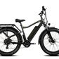 COLOSSEO MAGIS | Accu LG 48V 21A 1008Wh | 250W 25Km/h | Range up to 130 km