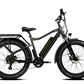 COLOSSEO | Accu LG 48V 14A 672Wh | 250W 25Km/h | Actieradius tot 80 km