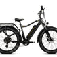 COLOSSEO | Accu LG 48V 14A 672Wh | 250W 25Km/h | Actieradius tot 80 km