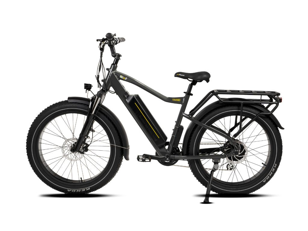 COLOSSEO | Accu LG 48V 14A 672Wh | 250W 25Km/h | Range up to 80 km