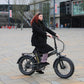 APRUM MAGIS PLUS | Accu LG 48V 20A 960Wh | 250W 25Km/h | Actieradius tot 120 km