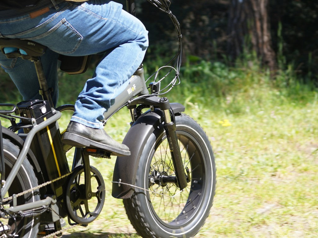 APRUM MAGIS PLUS | Accu LG 48V 20A 960Wh | 250W 25Km/h | Actieradius tot 120 km