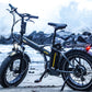 APRUM MAGIS PLUS | Accu LG 48V 20A 960Wh | 250W 25Km/h | Actieradius tot 120 km