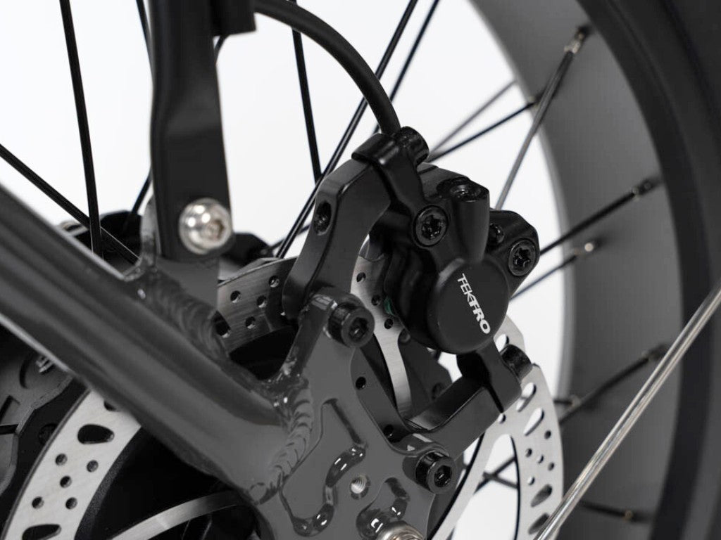 APRUM MAGIS PLUS | Accu LG 48V 20A 960Wh | 250W 25Km/h | Actieradius tot 120 km