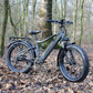 COLOSSEO | Accu LG 48V 14A 672Wh | 250W 25Km/h | Actieradius tot 80 km