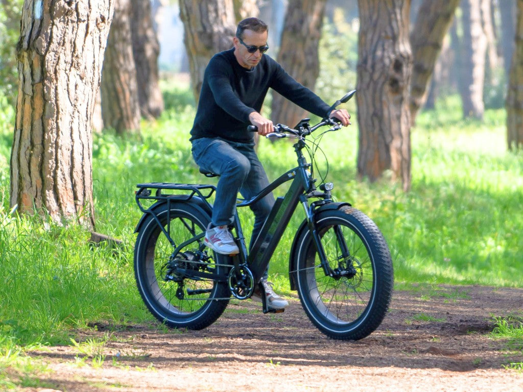 COLOSSEO | Accu LG 48V 14A 672Wh | 250W 25Km/h | Actieradius tot 80 km