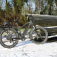 COLOSSEO | Accu LG 48V 14A 672Wh | 250W 25Km/h | Actieradius tot 80 km