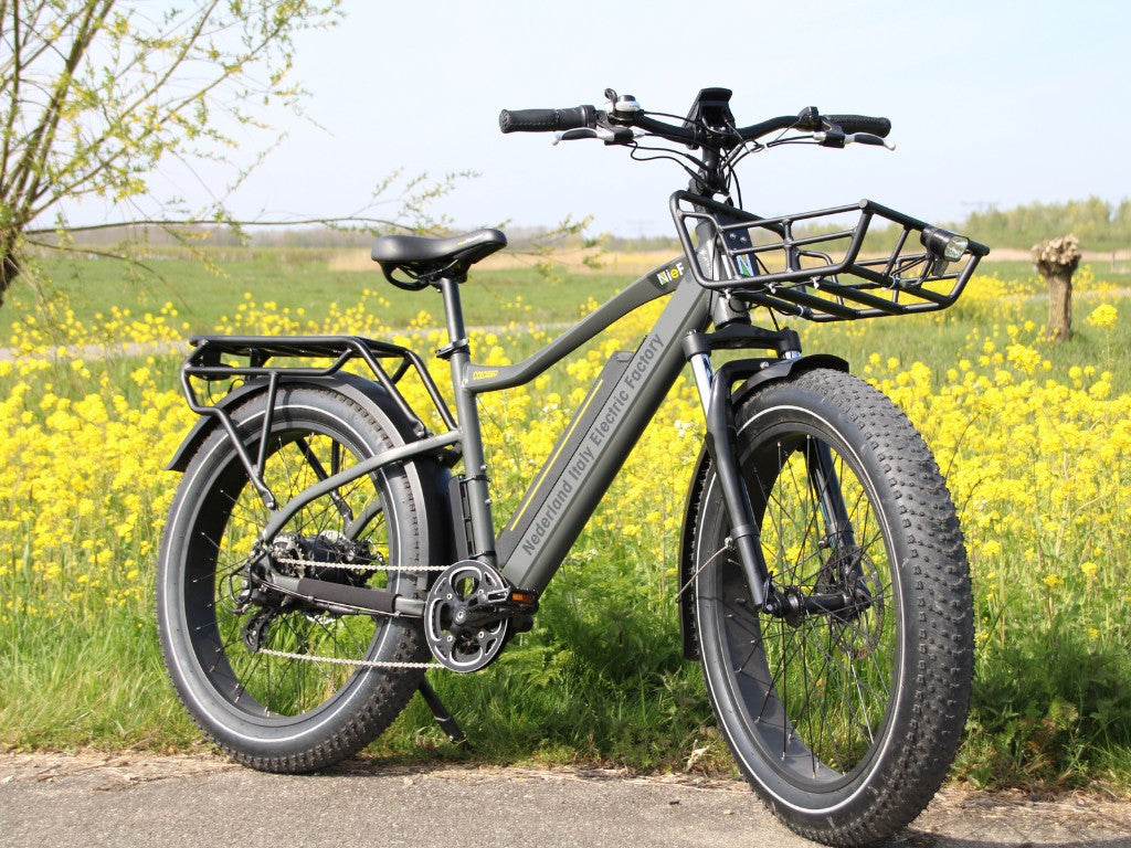 COLOSSEO MAGIS | Accu LG 48V 21A 1008Wh | 250W 25Km/h | Actieradius tot 130 km