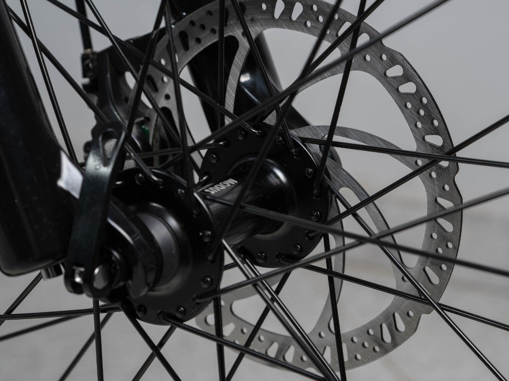 COLOSSEO MAGIS | Accu LG 48V 21A 1008Wh | 250W 25Km/h | Actieradius tot 130 km