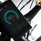 COLOSSEO MAGIS | Accu LG 48V 21A 1008Wh | 250W 25Km/h | Actieradius tot 130 km