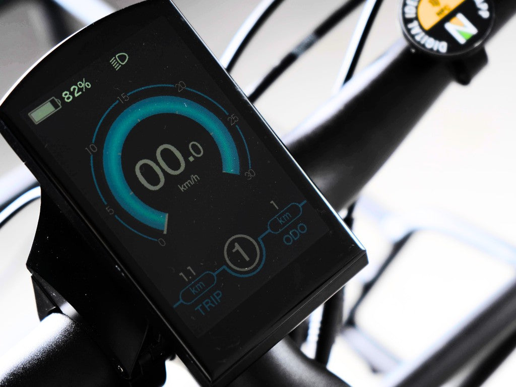 COLOSSEO MAGIS | Accu LG 48V 21A 1008Wh | 250W 25Km/h | Actieradius tot 130 km