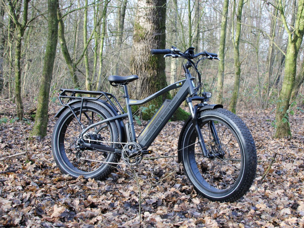 COLOSSEO MAGIS | Accu LG 48V 21A 1008Wh | 250W 25Km/h | Actieradius tot 130 km
