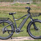 COLOSSEO MAGIS | Accu LG 48V 21A 1008Wh | 250W 25Km/h | Actieradius tot 130 km