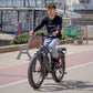COLOSSEO MAGIS | Accu LG 48V 21A 1008Wh | 250W 25Km/h | Actieradius tot 130 km