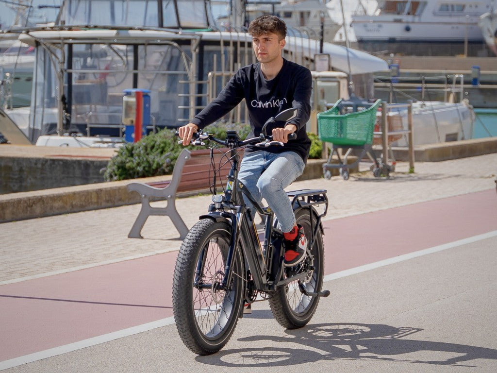 COLOSSEO MAGIS | Accu LG 48V 21A 1008Wh | 250W 25Km/h | Actieradius tot 130 km