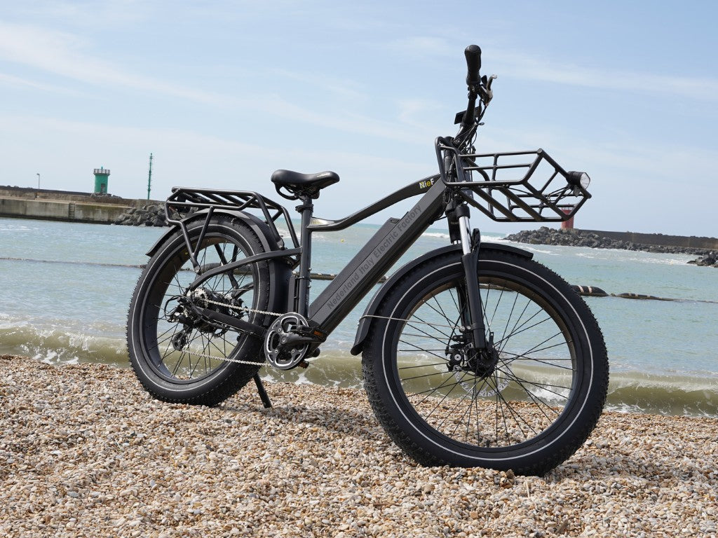 COLOSSEO MAGIS | Accu LG 48V 21A 1008Wh | 250W 25Km/h | Actieradius tot 130 km