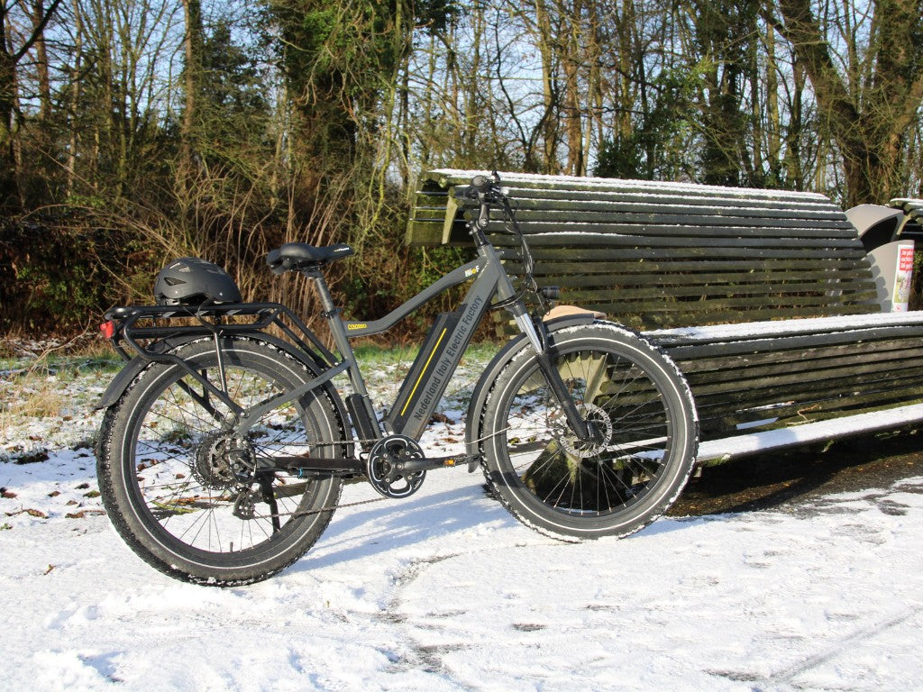 COLOSSEO MAGIS | Accu LG 48V 21A 1008Wh | 250W 25Km/h | Actieradius tot 130 km