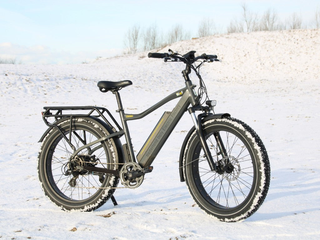 COLOSSEO MAGIS | Accu LG 48V 21A 1008Wh | 250W 25Km/h | Actieradius tot 130 km