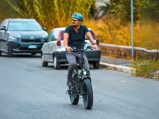 APRUM 14 | Accu LG 48V 14A 672Wh | 250W 25Km/h | Actieradius tot 70 km