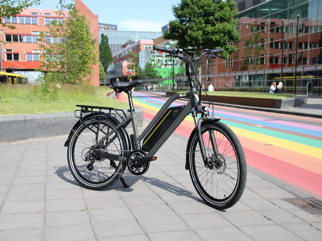 SIBILLA X | Accu Samsung 36V 18.2A 655Wh | 250W 25Km/h | Actieradius tot 100 km